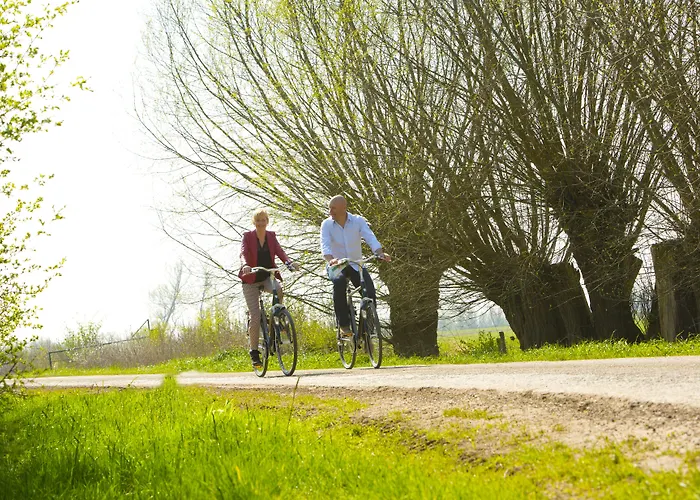 Bij Arnhem A12 4* Duiven