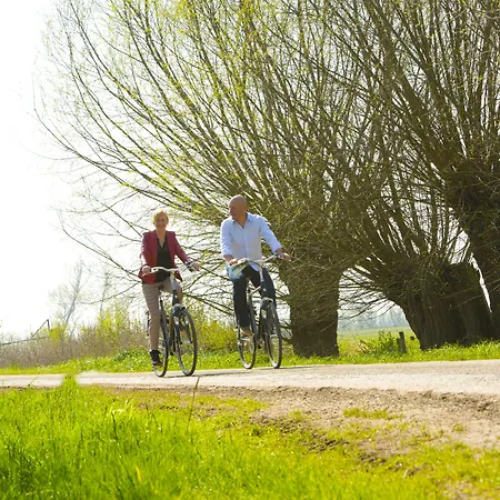 Bij Arnhem A12 4* Duiven
